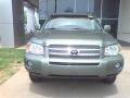 Oasis Green Pearl - Highlander Hybrid Limited Photo No. 2