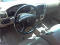 Silver Birch Metallic - Mountaineer Convenience AWD Photo No. 10