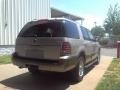 Silver Birch Metallic - Mountaineer Convenience AWD Photo No. 16
