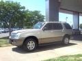 Silver Birch Metallic - Mountaineer Convenience AWD Photo No. 18