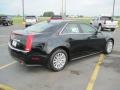 Black Raven - CTS 3.0 Sedan Photo No. 4
