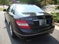 Black - C 300 4Matic Luxury Photo No. 3