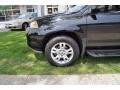 Nighthawk Black Pearl - MDX  Photo No. 19