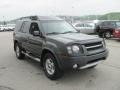 Granite Metallic - Xterra XE V6 4x4 Photo No. 8