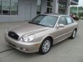 Golden Beige - Sonata LX V6 Photo No. 2