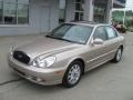 2005 Golden Beige Hyundai Sonata LX V6  photo #2