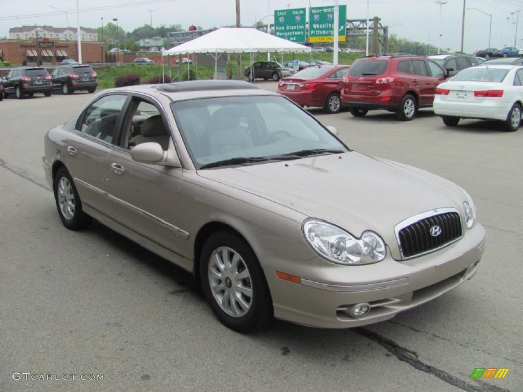 2005 Golden Beige Hyundai Sonata LX V6 29899587 Photo 11 GTCarLot