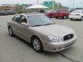 Golden Beige - Sonata LX V6 Photo No. 11