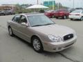 2005 Golden Beige Hyundai Sonata LX V6  photo #11