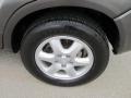 Sahara Silver - Tucson GLS V6 4WD Photo No. 4