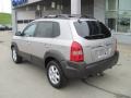 Sahara Silver - Tucson GLS V6 4WD Photo No. 5
