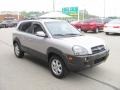 Sahara Silver - Tucson GLS V6 4WD Photo No. 9