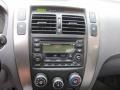 Sahara Silver - Tucson GLS V6 4WD Photo No. 16
