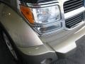 Light Khaki Metallic - Nitro SXT Photo No. 4