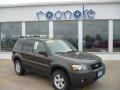 2006 Dark Shadow Grey Metallic Ford Escape XLT V6  photo #1