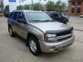 2002 Light Pewter Metallic Chevrolet TrailBlazer LS 4x4  photo #6