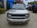 2002 Light Pewter Metallic Chevrolet TrailBlazer LS 4x4  photo #10