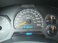 Light Pewter Metallic - TrailBlazer LS 4x4 Photo No. 20