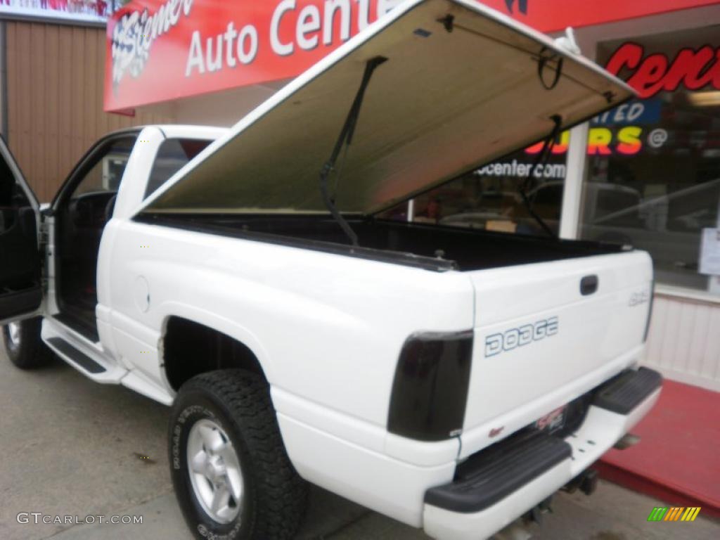 2000 Ram 1500 Sport Regular Cab 4x4 - Bright White / Mist Gray photo #8