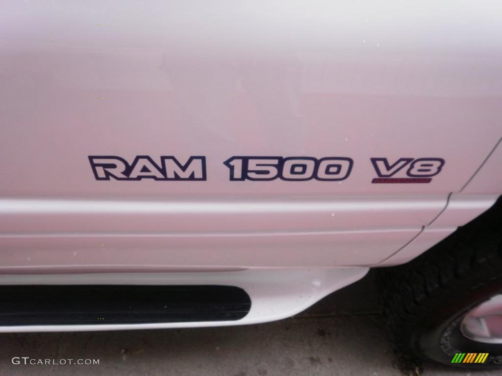 2000 Ram 1500 Sport Regular Cab 4x4 - Bright White / Mist Gray photo #15