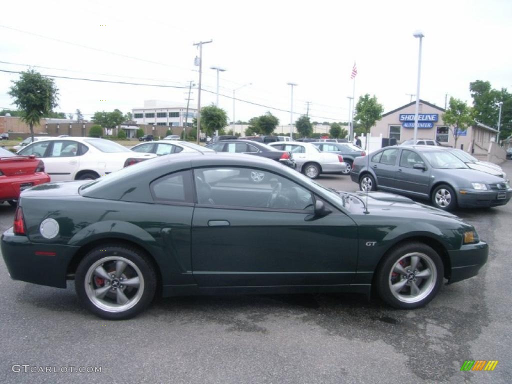 2001 Mustang Bullitt Coupe - Dark Highland Green / Dark Charcoal photo #7