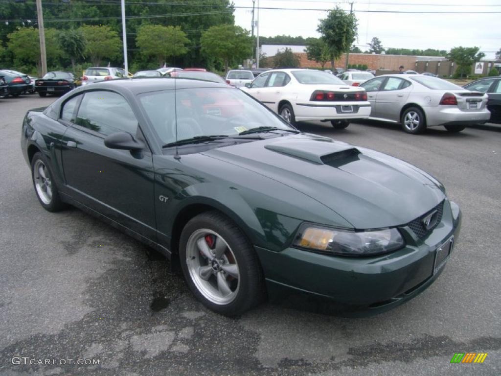 2001 Mustang Bullitt Coupe - Dark Highland Green / Dark Charcoal photo #8