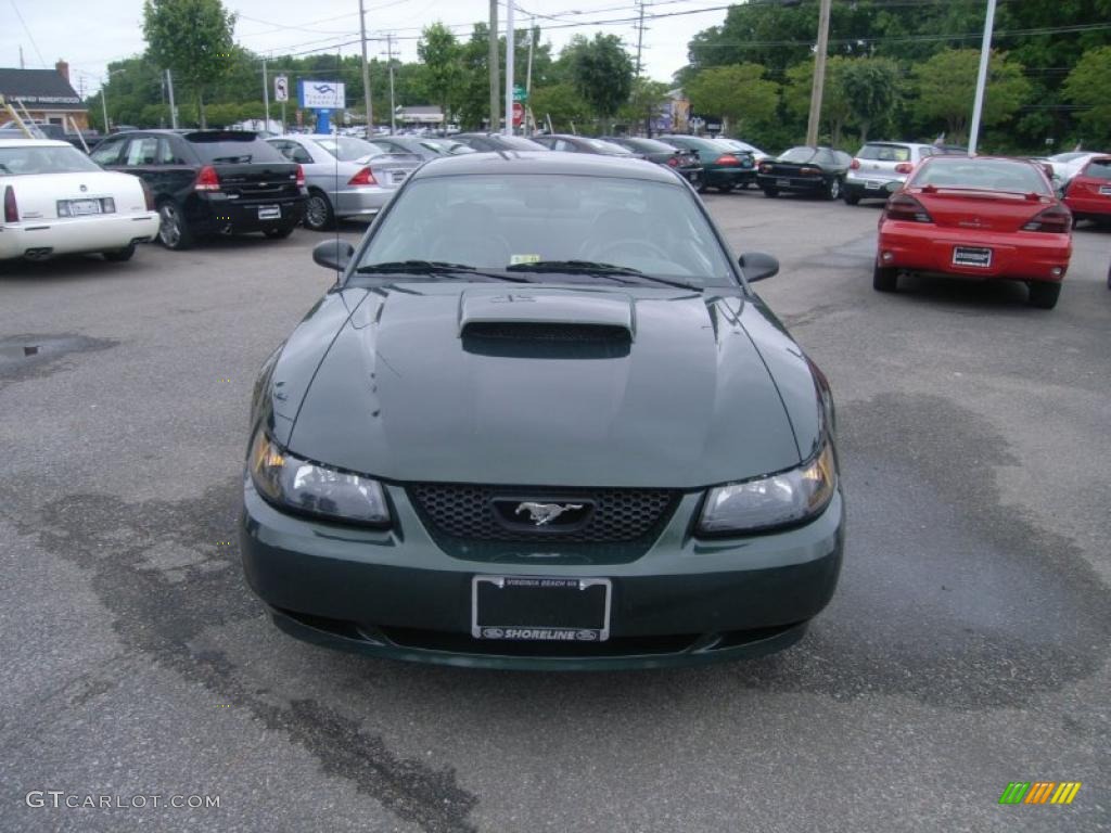 2001 Mustang Bullitt Coupe - Dark Highland Green / Dark Charcoal photo #9