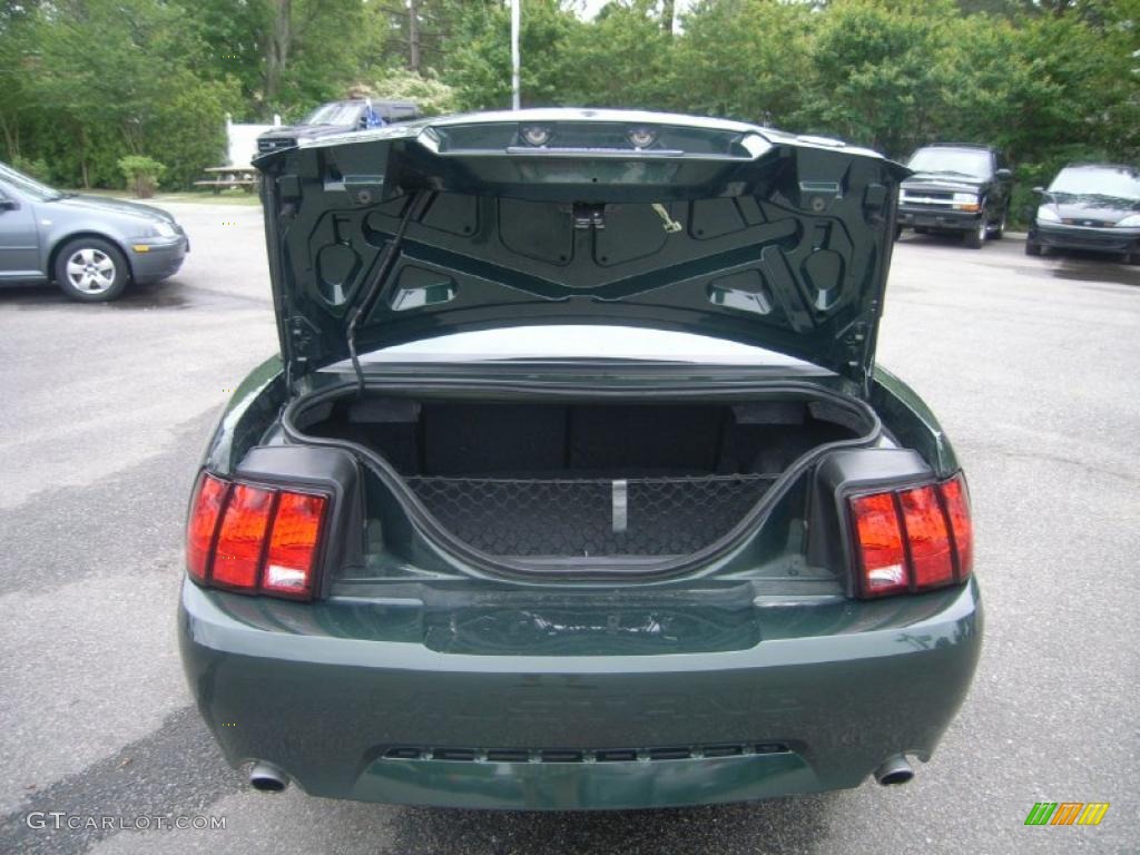2001 Mustang Bullitt Coupe - Dark Highland Green / Dark Charcoal photo #11