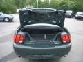 2001 Dark Highland Green Ford Mustang Bullitt Coupe  photo #11