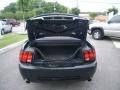 Black - Mustang GT Convertible Photo No. 24