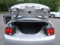 2004 Silver Metallic Ford Mustang GT Coupe  photo #21