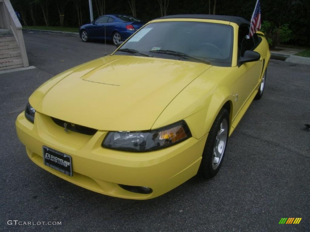 2001 Mustang Cobra Convertible - Zinc Yellow Metallic / Dark Charcoal photo #1