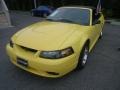 2001 Zinc Yellow Metallic Ford Mustang Cobra Convertible #29957531