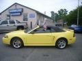2001 Zinc Yellow Metallic Ford Mustang Cobra Convertible  photo #2
