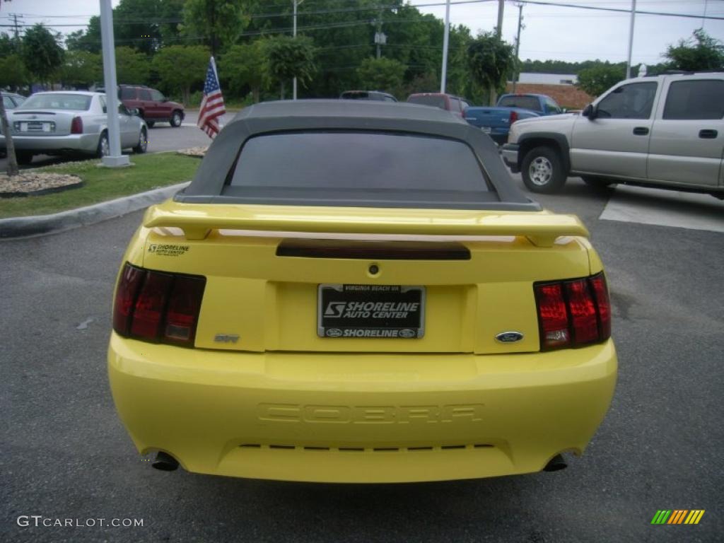 2001 Mustang Cobra Convertible - Zinc Yellow Metallic / Dark Charcoal photo #4