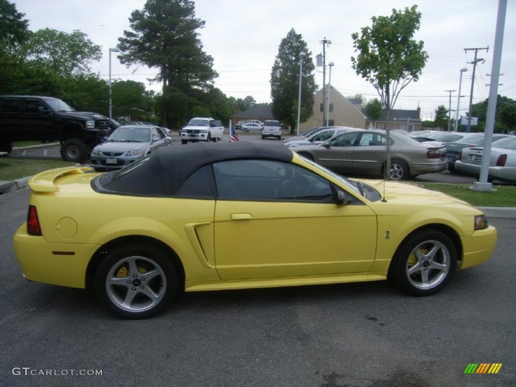 2001 Mustang Cobra Convertible - Zinc Yellow Metallic / Dark Charcoal photo #6