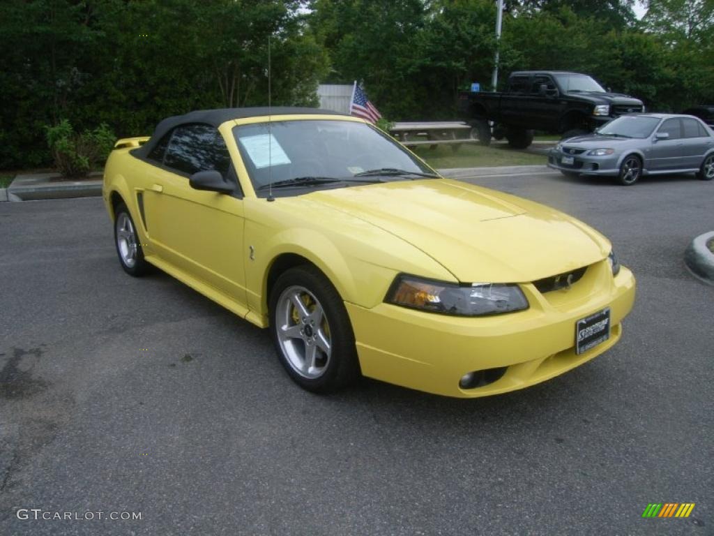 2001 Mustang Cobra Convertible - Zinc Yellow Metallic / Dark Charcoal photo #7