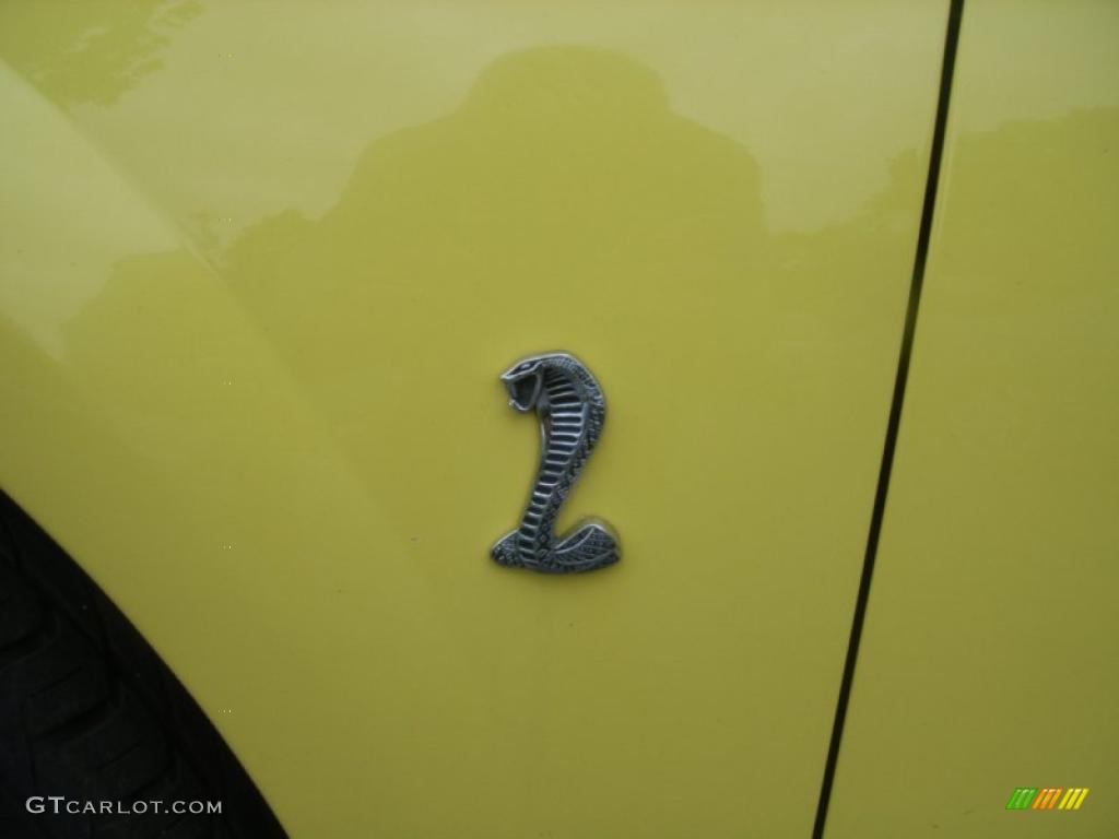 2001 Mustang Cobra Convertible - Zinc Yellow Metallic / Dark Charcoal photo #19
