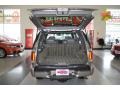 Pewter Metallic - Bravada AWD Photo No. 29