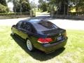 2006 Black Sapphire Metallic BMW 7 Series 750Li Sedan  photo #12