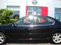 Super Black - Maxima GLE Photo No. 17