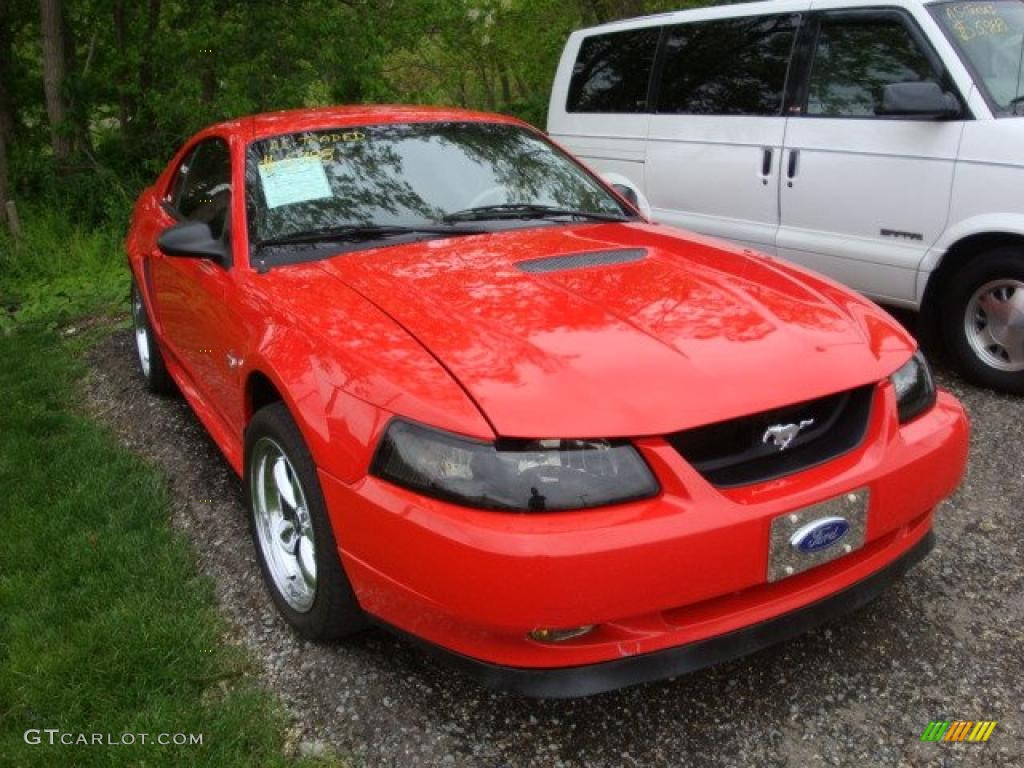 2000 Mustang V6 Coupe - Performance Red / Medium Parchment photo #1