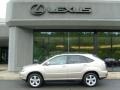 Savannah Metallic - RX 350 AWD Photo No. 2