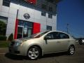 Sandstone Metallic - Sentra 2.0 S Photo No. 6