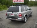Sierra Silver Metallic - Pathfinder LE 4x4 Photo No. 3
