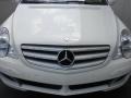 Alabaster White - R 350 4Matic Photo No. 29