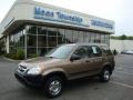 Mojave Mist Metallic - CR-V LX 4WD Photo No. 1