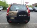 Mojave Mist Metallic - CR-V LX 4WD Photo No. 3
