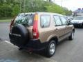 Mojave Mist Metallic - CR-V LX 4WD Photo No. 4
