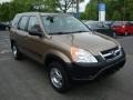 Mojave Mist Metallic - CR-V LX 4WD Photo No. 5